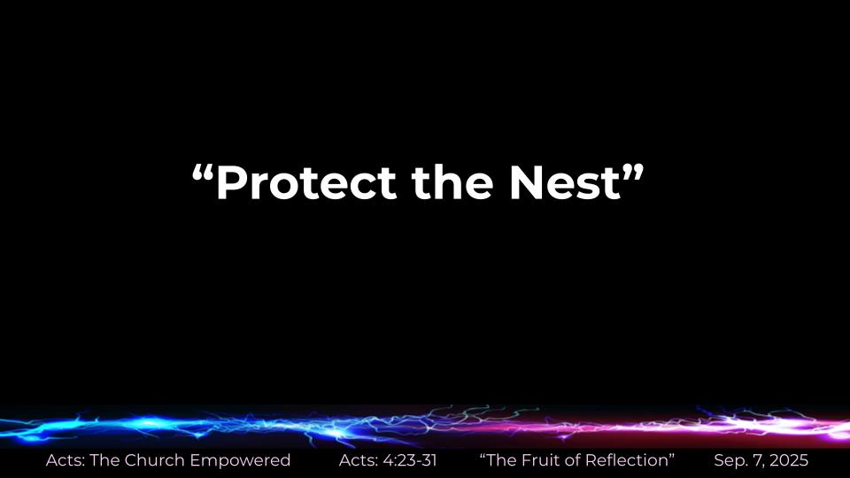 Acts #12: The Church Empowered-- "Protect the Nest" (5:1-11)